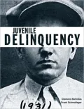 Juvenile Delinquency, Brief Edition