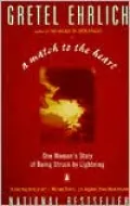 Match to the Heart: One Woman's Story of Being Struck by Lightning