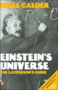 Einstein's Universe: The Layperson's Guide