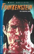 Frankenstein: Puffin Graphic Classic
