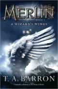 The Wizard’s Wings