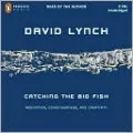 Catching the Big Fish: Meditation, Consciousness, and Creativity