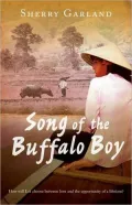 Song of the Buffalo Boy