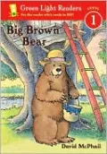 Big Brown Bear