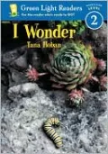 I Wonder