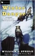 Winter Danger