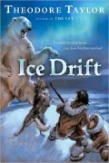 Ice Drift