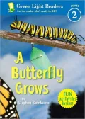 Butterfly Grows