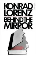 Behind The Mirror