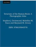 Structure of the Human Brain : A Photographic Atlas
