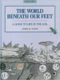 The world beneath our feet