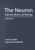 Neuron Cell and Molecular Biology