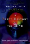 Brief History Of The Mind From Apes To Intellect And Beyond