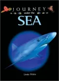 Journey under the Sea