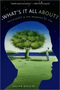 What's It All about?: Philosophy and the Meaning of Life