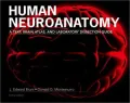 Human Brain in Dissection