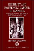 Fertility and Household Labour in Tanzania: Demography, Economy, and Society in Rufiji District, C.1870-1986