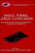 Small Firms, Large Concerns: The Development of Small Business in Comparative Perspective