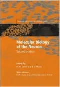 Molecular Biology of the Neuron