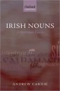 Irish Nouns: A Reference Guide