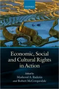 Economic, Social and Cultural Rights in Action