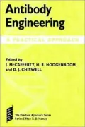 Antibody Engineering