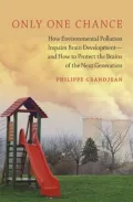 Only One Chance: How Environmental Pollution Impairs Brain Development -- and How to Protect the Brains of the Next Generation