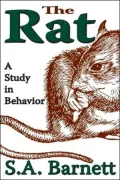 Rat, The