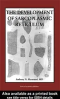 Development of the Sarcoplasmic Reticulum
