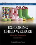 Exploring Child Welfare: A Practice Perspective