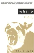 White Dog