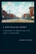 A Spectacular Secret: Lynching in American Life and Literature