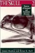 The Skull
