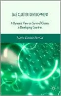 SME Cluster Development: A Dynamic View of Survival Clusters in Developing Countries