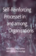 Self-Reinforcing Processes in and Among Organizations