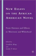 New Essays On The African American Novel