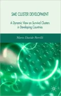 SME Cluster Development: A Dynamic View of Survival Clusters in Developing Countries