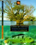 Floods of Fortune
