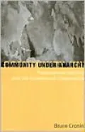 Community Under Anarchy: Transnational Identity and the Evolution of Cooperation