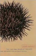 The Cultural Space of the Arts and the Infelicities of Reductionism