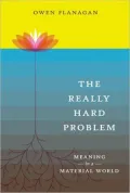 The Really Hard Problem: Meaning in a Material World