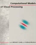Computational Models of Visual Processing