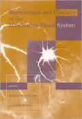 Regeneration and plasticity in the mammalian visual system