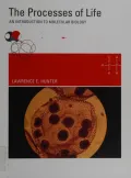 Book cover of Event-Cities 4: Concept-Form