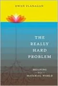 The Really Hard Problem: Meaning in a Material World