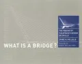 What Is a Bridge?: The Making of Calatrava's Bridge in Seville