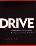 Drive