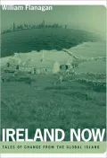Ireland Now: Tales of Change from the Global Island