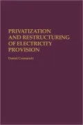 Privatization And Restructuring Of Electricity Provision