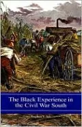 The Black Experience in the Civil War South